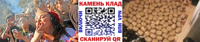 Купить где  Электросталь  ГАШ убойный 