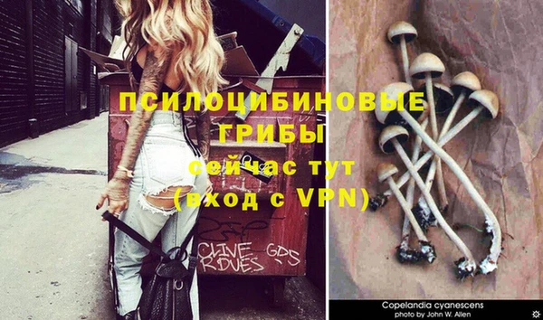 прущая мука Заволжск