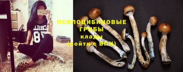 герыч Заводоуковск